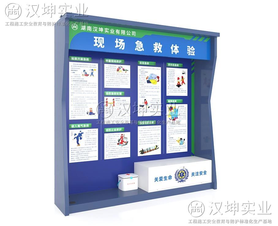 现场急救体验CS10